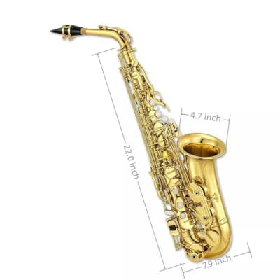 Alto Saxophone Beginner Kit – Brass Body, Smooth Tone, Full Accessory Set, Includes Case, Mouthpiece & Reeds – Ideal for Students and Adults image 3