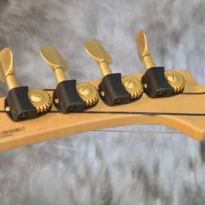 Immagine Rare 2008 Parker PB61 "Hornet" Bass feat. Spalted Maple Top - 23