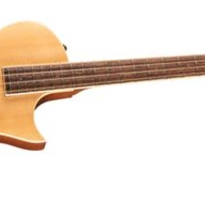 ESP LTD TL-4 Thinline Acoustic Electric Bass Guitar Natural image 3