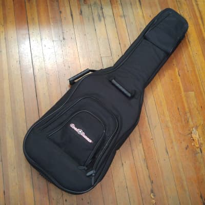 Road runner best sale gig bag