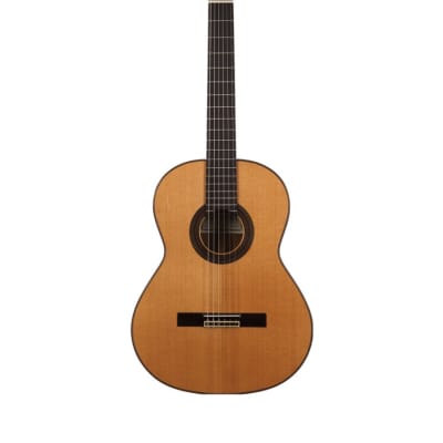 Altamira N500 4/4 (+ étui) - Guitare classique for sale