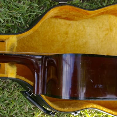 Trump Dreadnought with Vintage Case image 11