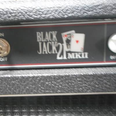 FUCHS BlackJack MKII 2022 Amp w/ 2x12 FUCHS Cabinet image 11