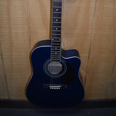 New York Pro Acoustic Guitar - Blue for sale