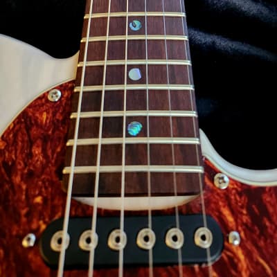SJ Custom Guitars Thinline telecaster, ash body,rosewood neck, Gnl asat classic pickups,Grover tuners image 5