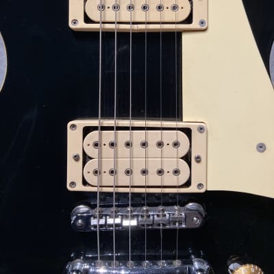 ギター runrunrun Viny' Lourd Son - Scratchocaster rocking the bells (Fretless