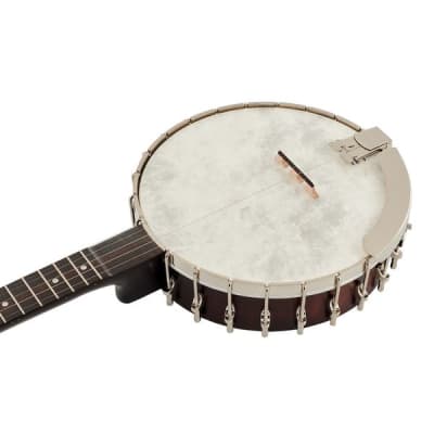 Recording King OT25-BR "Madison" Open Back Banjo, Scooped Fretboard. New with Full Warranty! image 8
