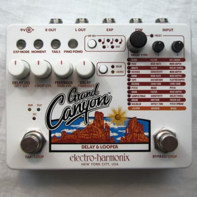 Used Electro-Harmonix EHX Grand Canyon Delay and Looper Guitar Pedal! image 1