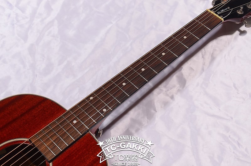 Epiphone Limited Edition EL 00 Pro Mahogany MA | Reverb Canada