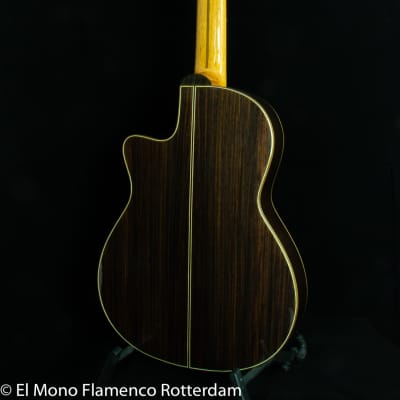 Cashimira 130C Palosanto Thinline Cutaway 2017 Out of Production made in Spain by Joan Cashimira image 5