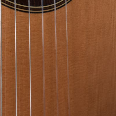 Prudencio Sáez  PS-31-C Classical Spanish Acoustic Guitar image 3