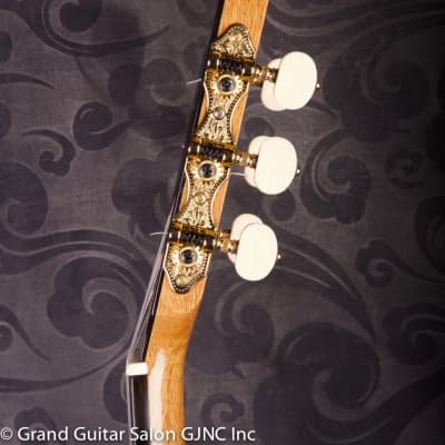 Daniel Stark "Espagnola II" classical guitar  Cedar/Wenge B & Sides image 18