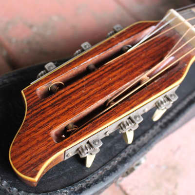 Stunning Vintage 1920s Stromberg Viosinet Parlor Acoustic Slide Guitar USA Rare Kay Bruno Harmony image 9
