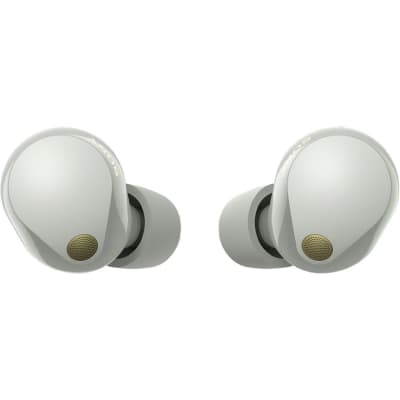 Sony Noise Canceling Truly Wireless Earbuds, Silver + Accessories + Warranty Bundle image 20
