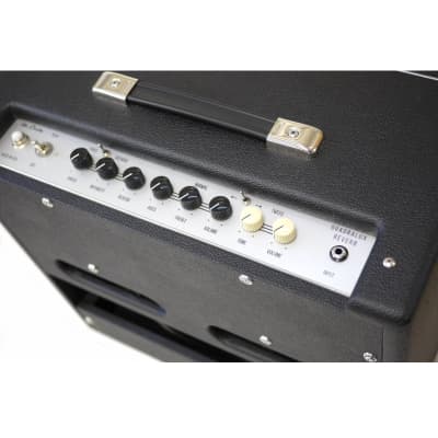 de Lisle Quadralux Reverb Tube Amplifier - Princeton Reverb, 5E3 Deluxe, 5F11 Vibrolux in One! image 3