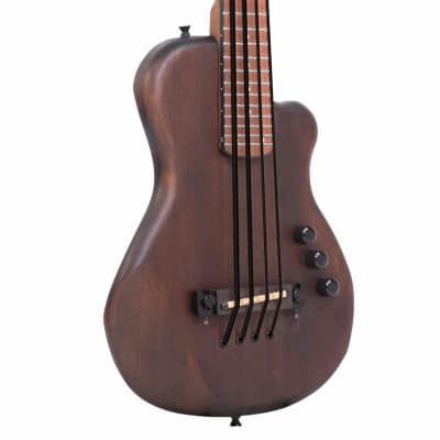Gold Tone ME-Bass: 23-Inch Scale Electric MicroBass with Gig Bag image 12