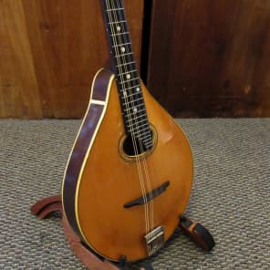 Washburn Style C Mandolin 1922-1925 Lyon and Healy image 4