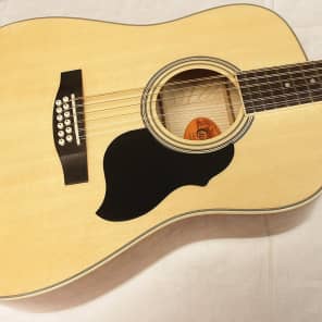 Crafter md 50 12 string 2025