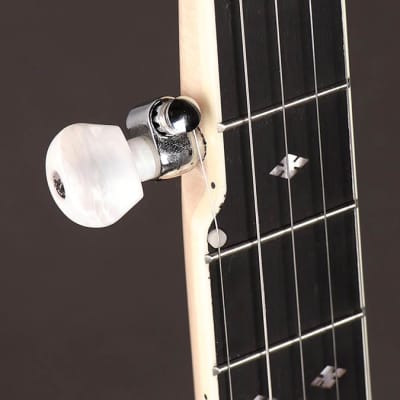 Richwood Master Series RMB-1405-LN long neck open back 5-string banjo image 3