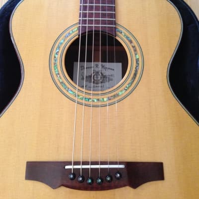 2020 Darren Hippner OM Acoustic Guitar Boutique Luthier Sitka Spruce Indian Laurel Auditorium Model Gilbert Tuners w Taylor USA Softcase image 1