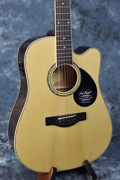 Greg bennett 12 string acoustic guitar 2025