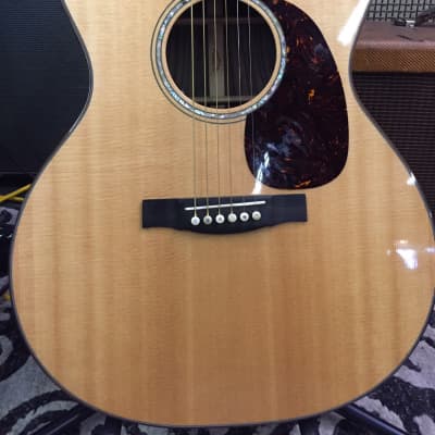 【Martin】GPCPA1 Plus Martin Performing Artist Series GPCPA1 Plus | Sweetwater
