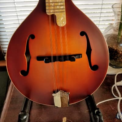 弦楽器 Recording King Mandolin Recording King Resonator Mandolin - Folkmusician