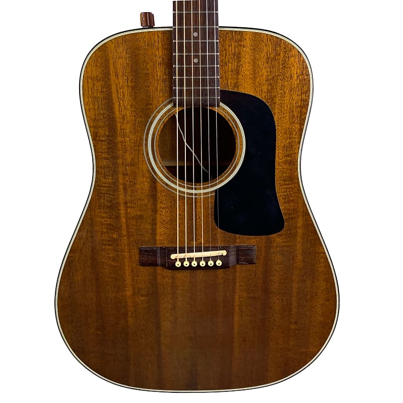 Washburn D-15ME Mahogany Electric Acoustic Guitar W/HSC | Reverb