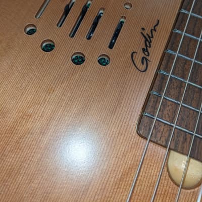 Godin Multiac Grand Concert Nylon image 4