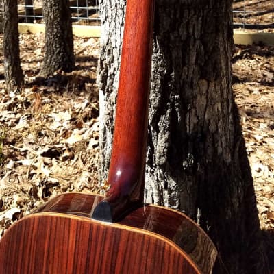 Crystal Forest CFSS Custom Shop Sitka Spruce / Rosewood Dreadnought 2019 Reddish brown image 8