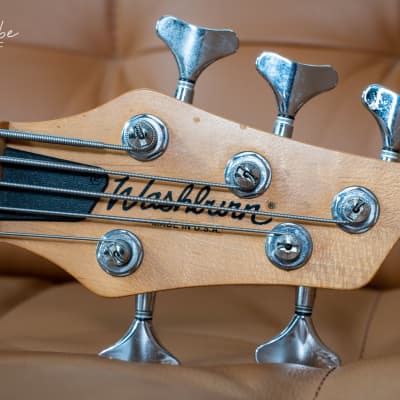 electric bass guitar 5 string Washburn Mercury Series MB-5