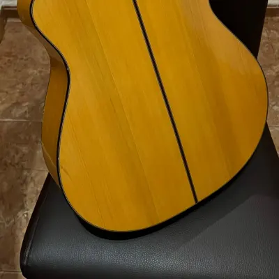 Flamenco Guitar Raimundo 646-E | Reverb