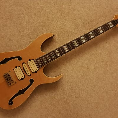 Ibanez PGM10TH Paul Gilbert 10th Anniversary 2002 Maple image 3