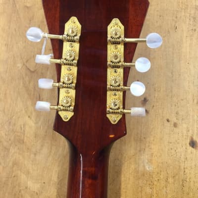 Eastman MDC804 Mando-Cello image 12