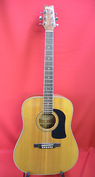 Washburn ds10 online