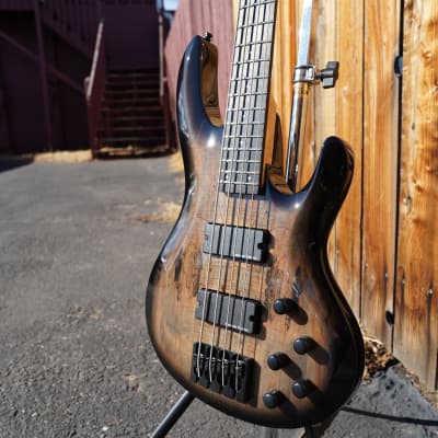 ESP BTL-4 - Black Natural Burst 4-String Electric Bass Guitar w/ Case (2024) image 5