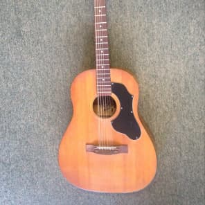 Hofner 12 string acoustic guitar cheap