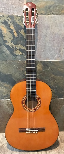 Gorgeous Takamine G116 G Series 6 String Classical Acoustic Guitar w OHSC