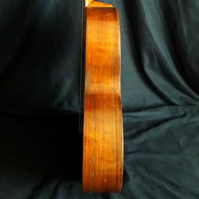 Parlor guitar Brazilian rosewood Germany (1890) image 10