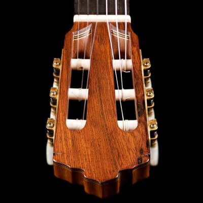 Juan Garcia Fernandez 2022 Classical Guitar Spruce/Cocobolo image 5