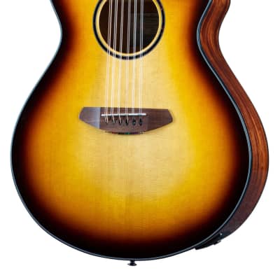 Breedlove Discovery S Concert Edgeburst 12 String CE acoustic electric image 2