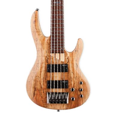 ESP LTD B-205SM 5-String Bass Guitar - Natural Satin image 3