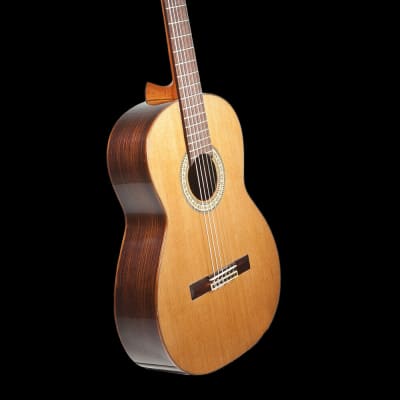 Prudencio Saez Konzertgitarre Modell 12 for sale