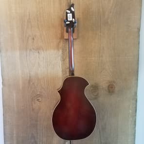 Stromberg Voisinet Venetian-Style Tenor Guitar Vintage c.1920's w/Gig Bag image 8
