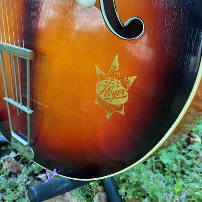 Rare Arnold Hoyer Expo 1959  Archtop Guitar Professional image 12