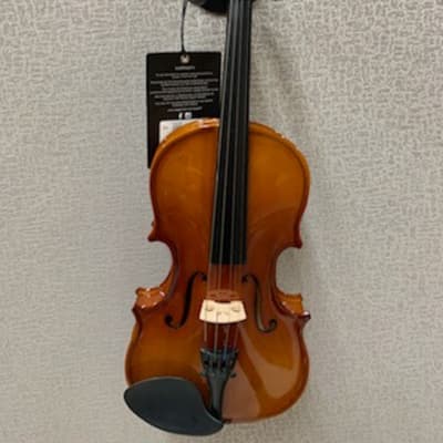Stagg Model VN-1/4 - 1/4 Size Solid Maple Violin with case, bow and accessories image 3