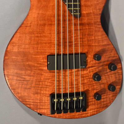 Bolin 5-String Bass Guitar Model NS-5 with Case, Beautiful! image 1