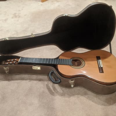 Giannini GWNC4 Classical Guitar Special Edition image 6