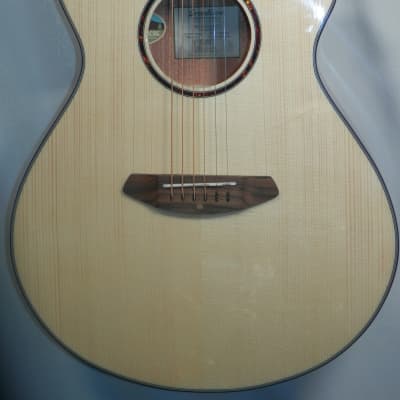 Breedlove Discovery S Concert CE European-African mahogany Natural Gloss Finish image 3