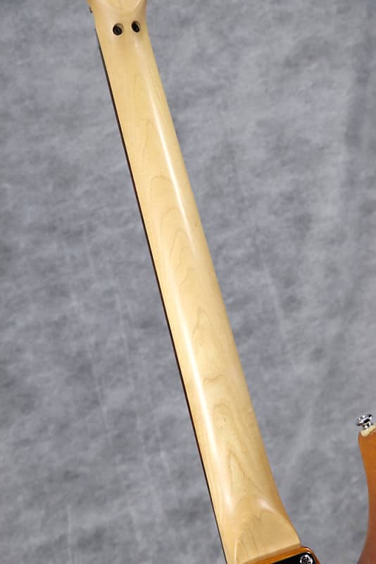 Hamer Slammer Diablo 2 09/02 | Reverb